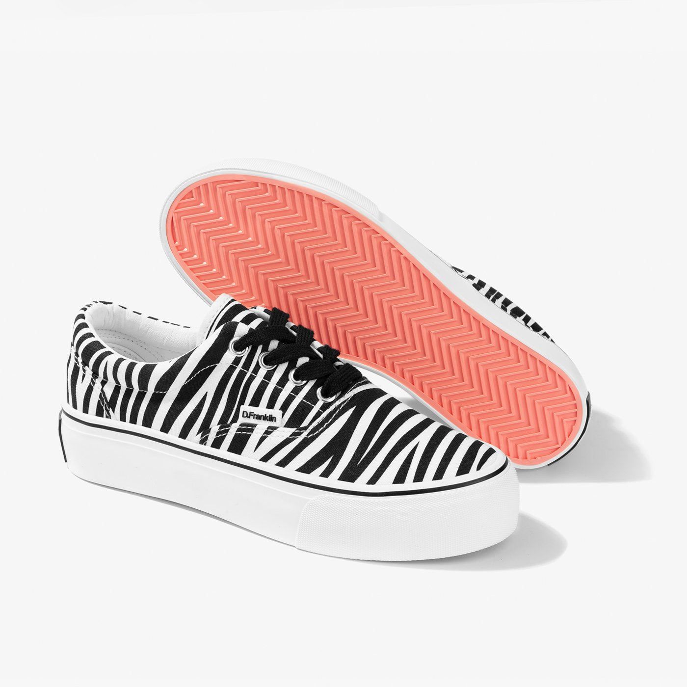 Eclipse Zebra